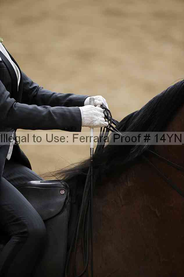 Proof 14yn_05703