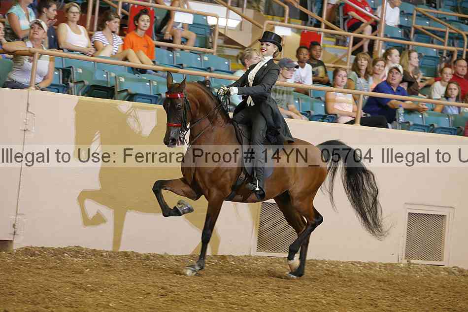 Proof 14yn_05704