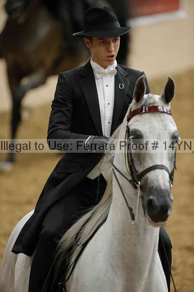 Proof 14yn_05705