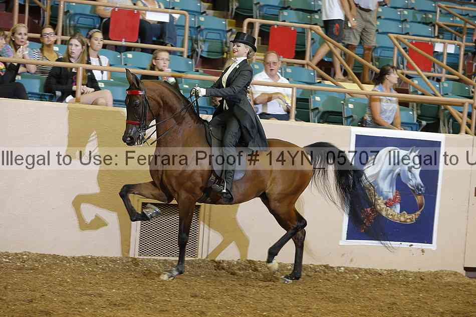 Proof 14yn_05707