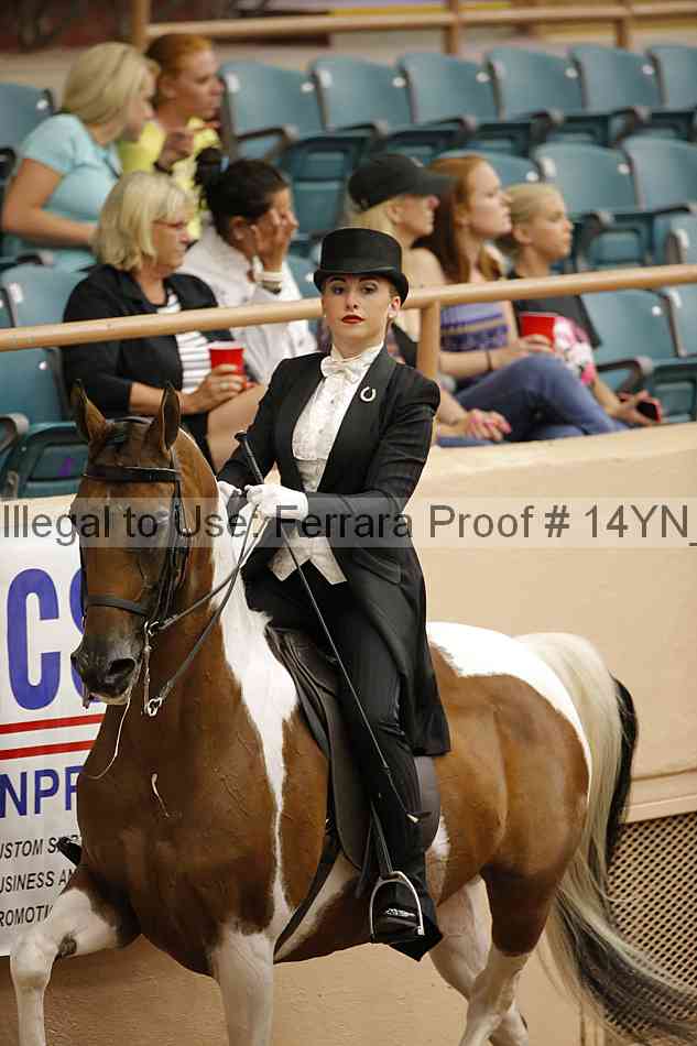 Proof 14yn_05709