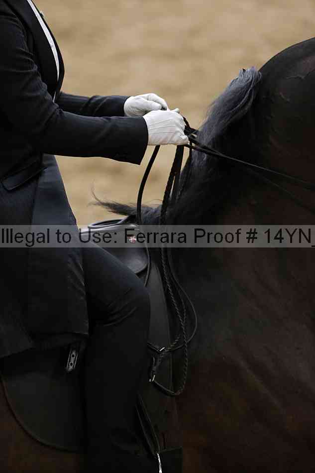 Proof 14yn_05712
