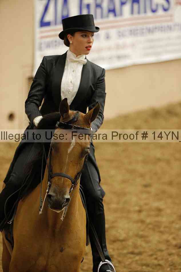 Proof 14yn_05715