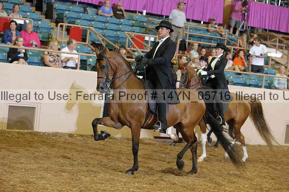 Proof 14yn_05716
