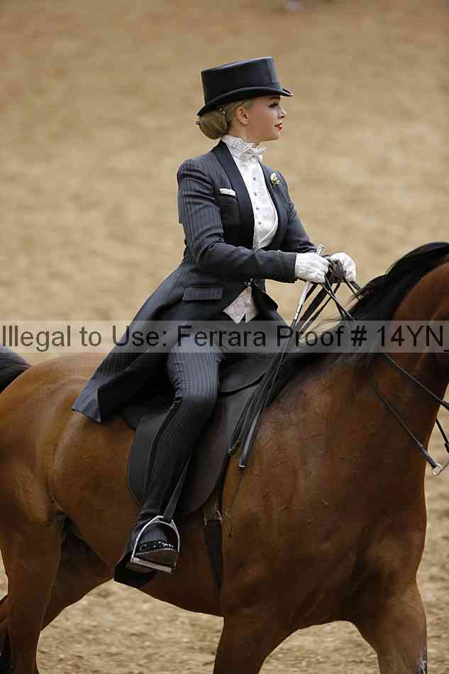 Proof 14yn_05718