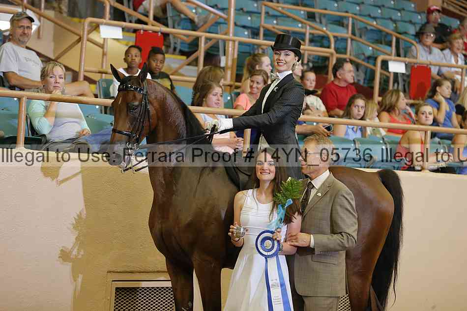 Proof 14yn_05736