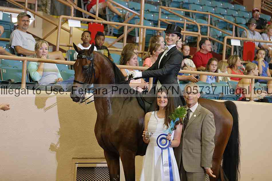 Proof 14yn_05737