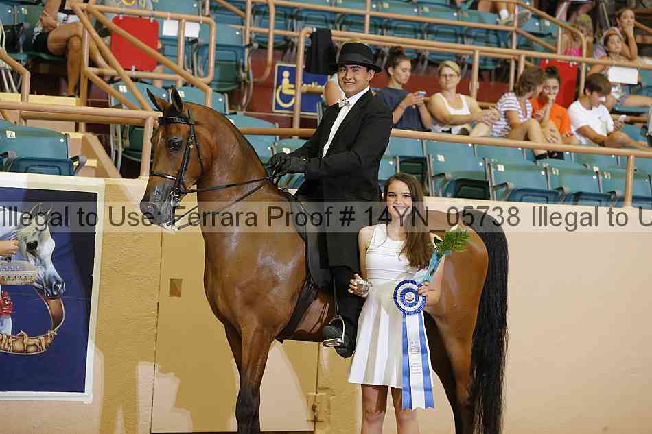 Proof 14yn_05738