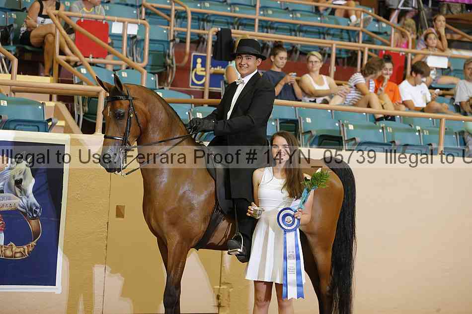 Proof 14yn_05739