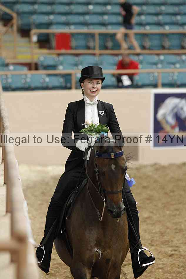 Proof 14yn_05770