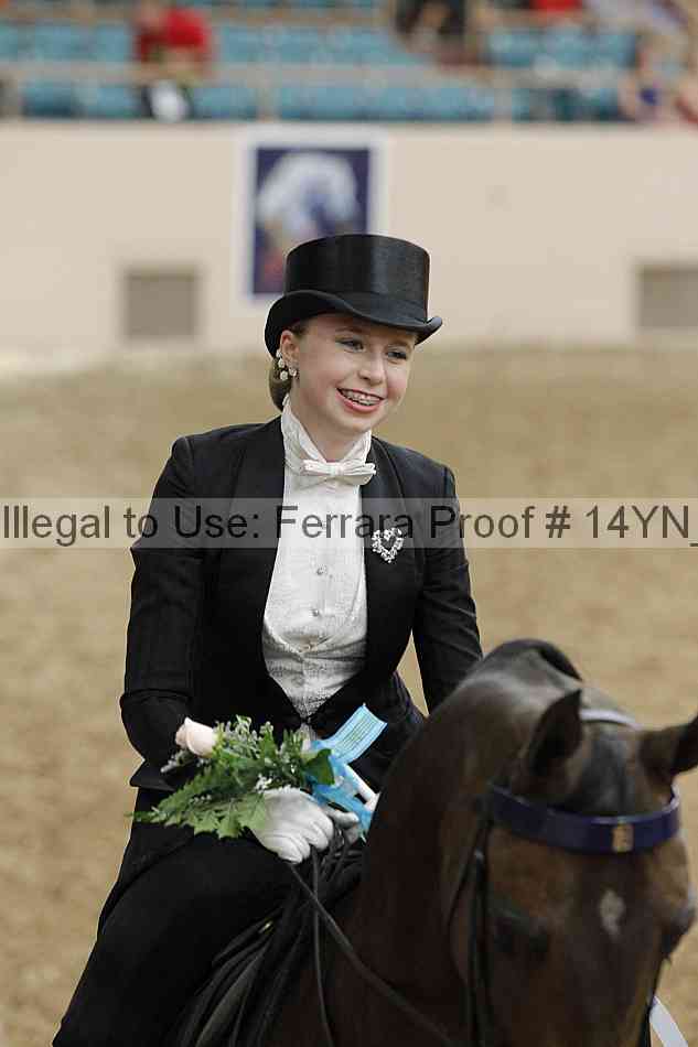 Proof 14yn_05774
