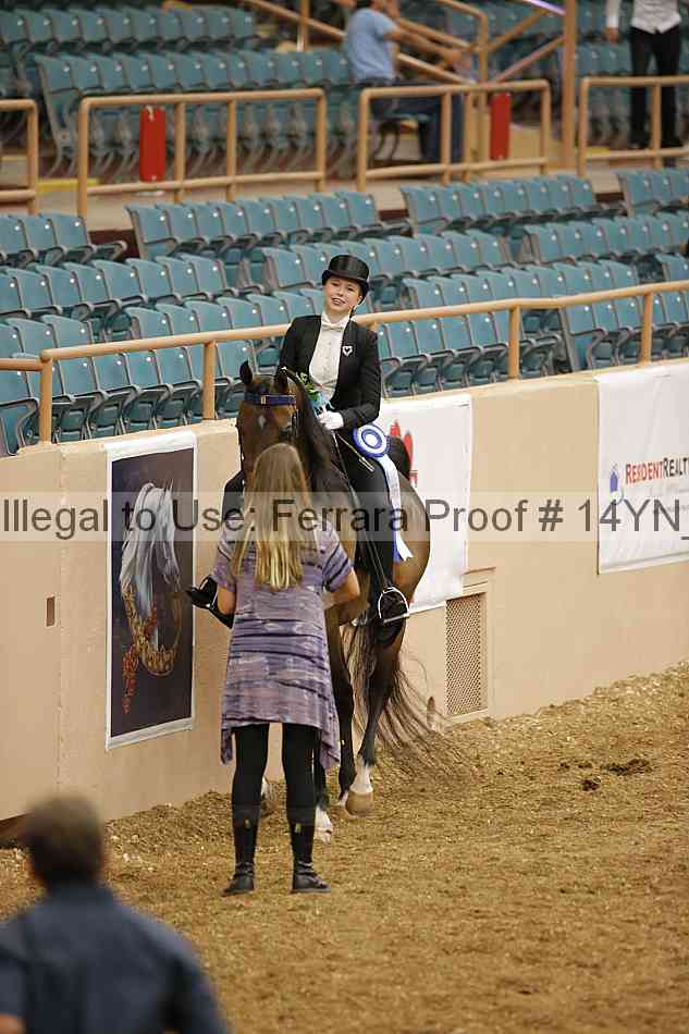 Proof 14yn_05775