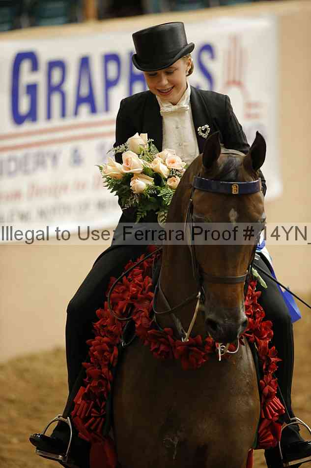 Proof 14yn_05831