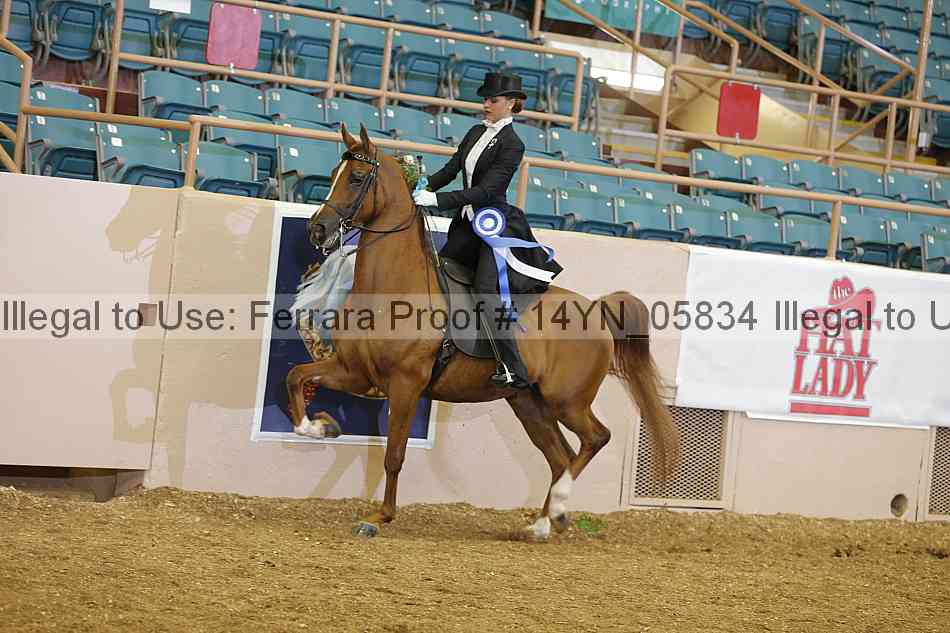 Proof 14yn_05834