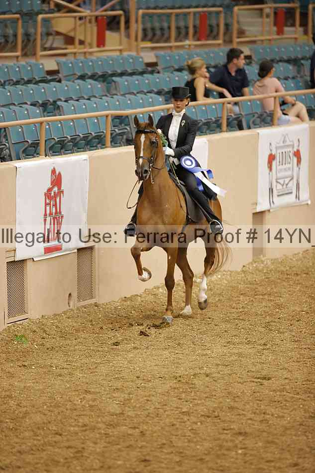 Proof 14yn_05836