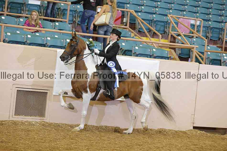 Proof 14yn_05838