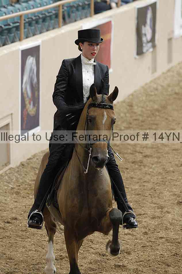 Proof 14yn_05854