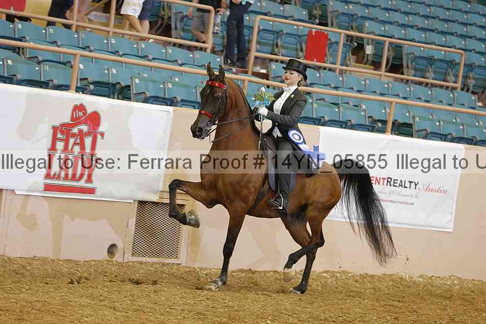 Proof 14yn_05855