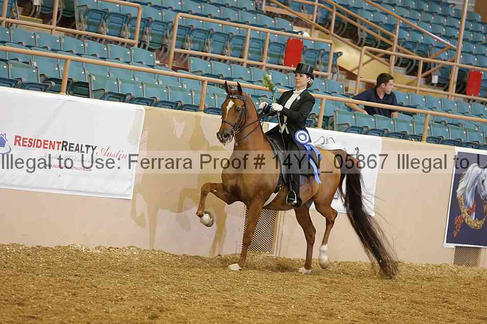 Proof 14yn_05867
