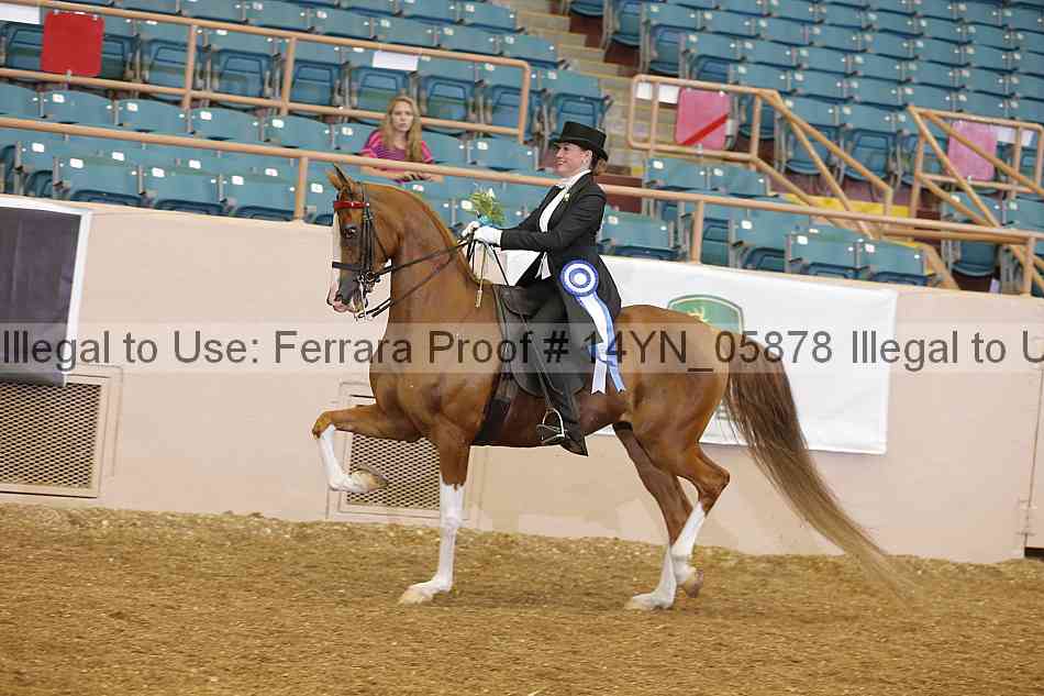 Proof 14yn_05878