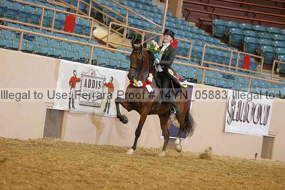 Proof 14yn_05883
