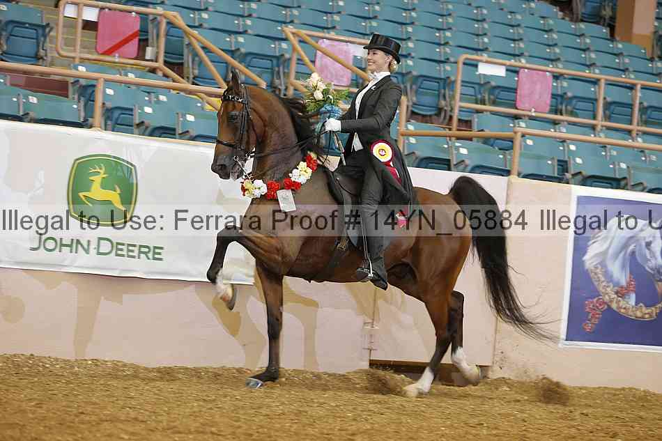 Proof 14yn_05884