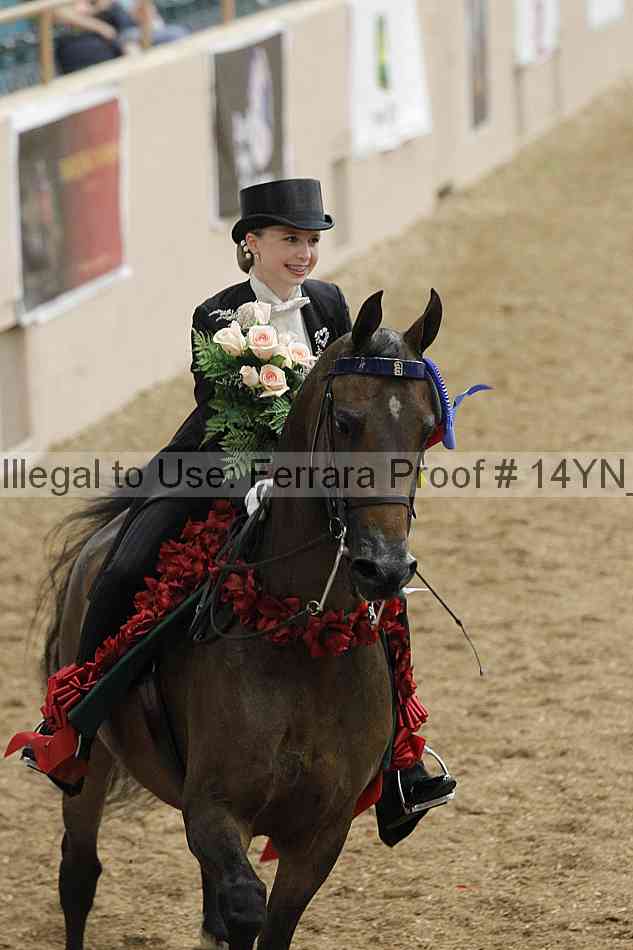 Proof 14yn_05896