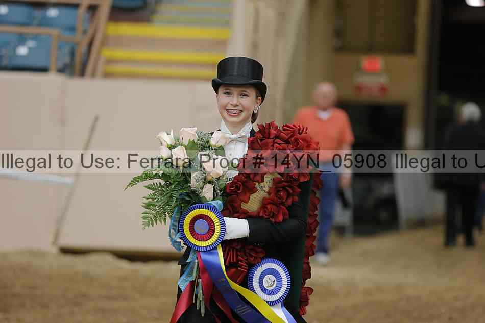 Proof 14yn_05908