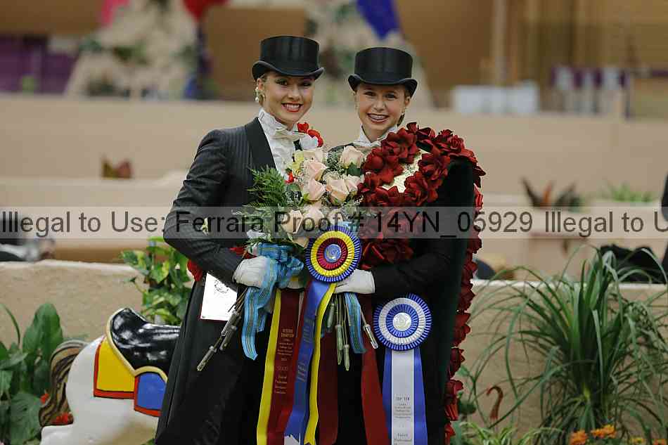 Proof 14yn_05929