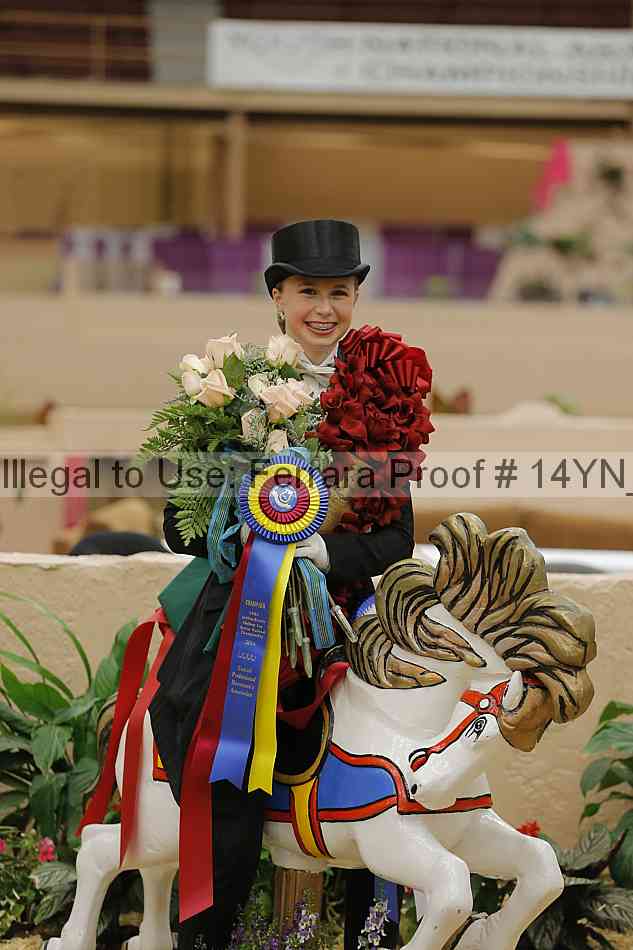 Proof 14yn_05946