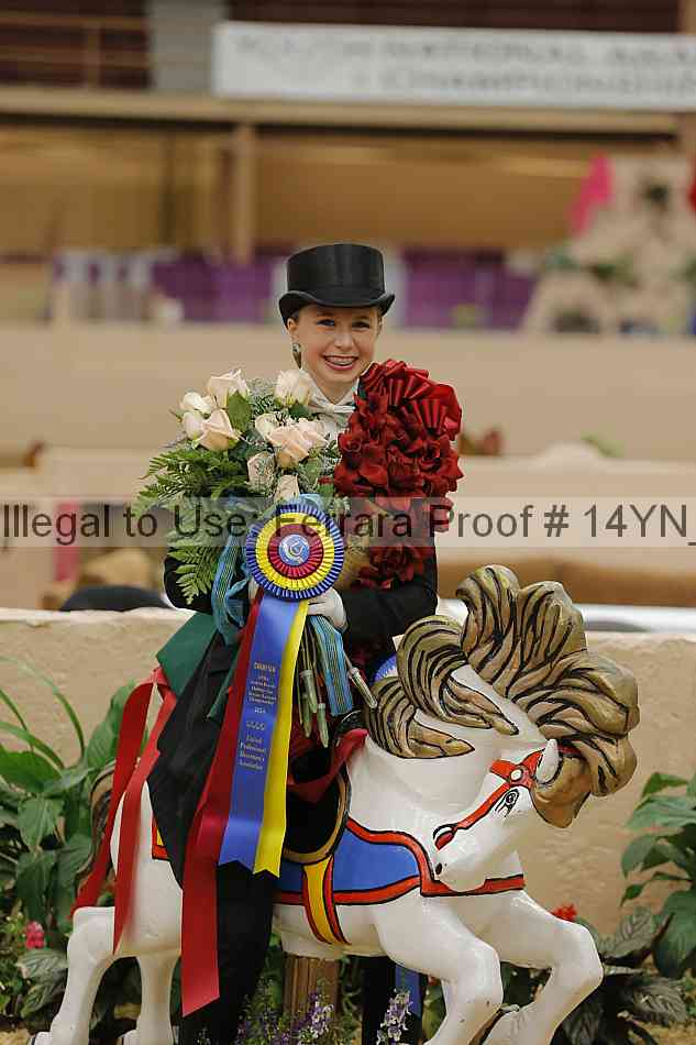 Proof 14yn_05947