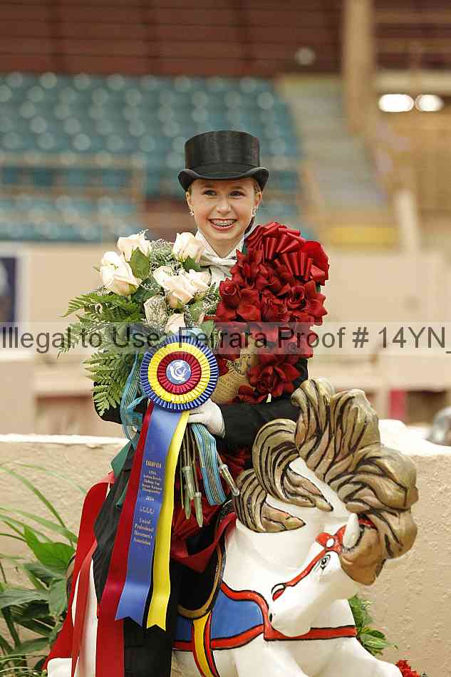 Proof 14yn_05951