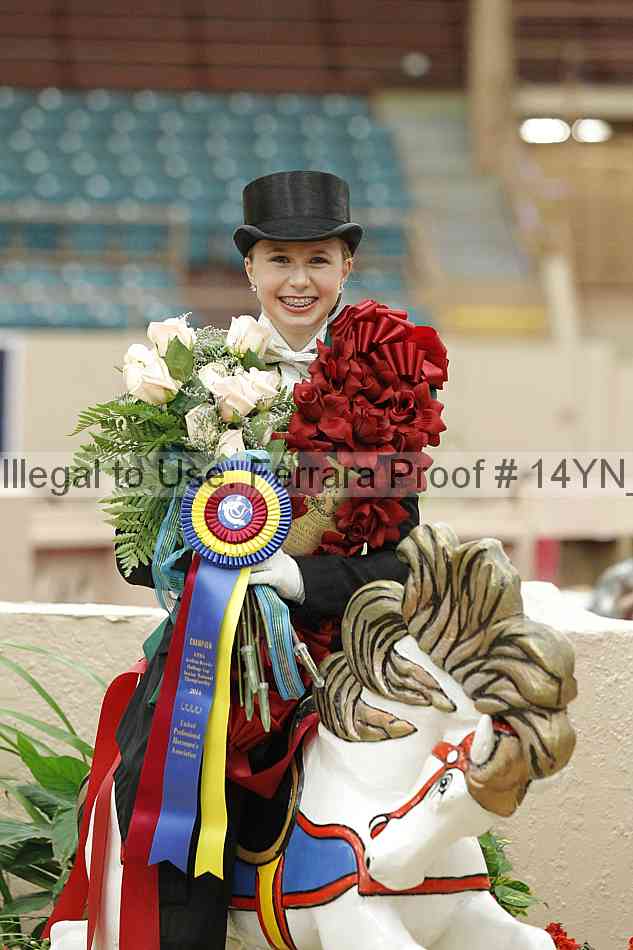 Proof 14yn_05952