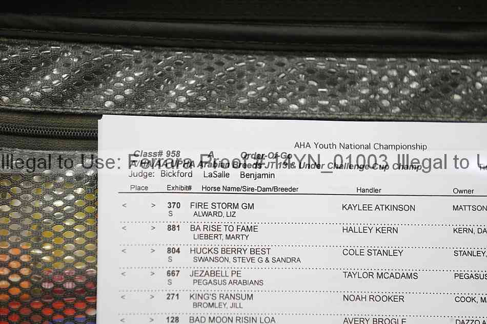 Proof 14yn_01003