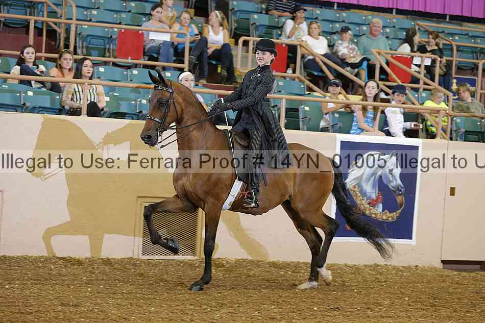 Proof 14yn_01005