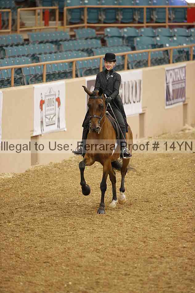 Proof 14yn_01006