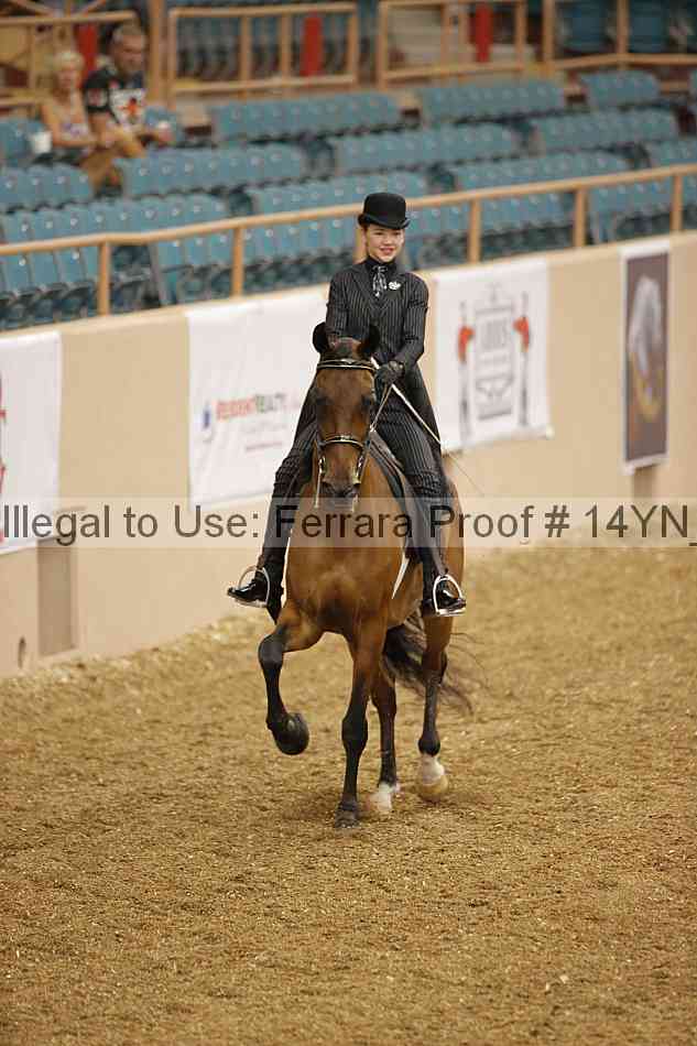 Proof 14yn_01007