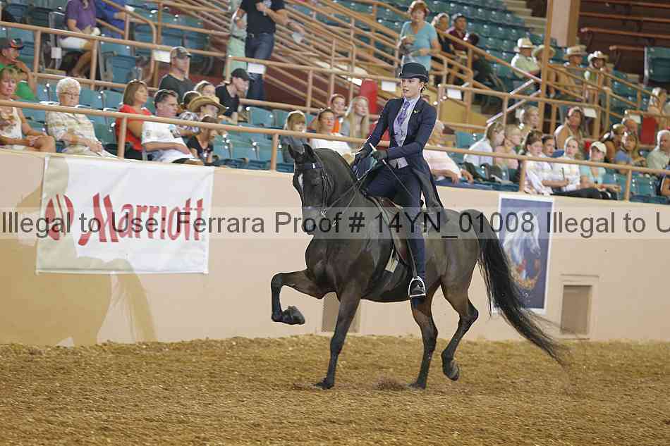 Proof 14yn_01008