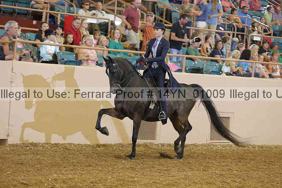 Proof 14yn_01009