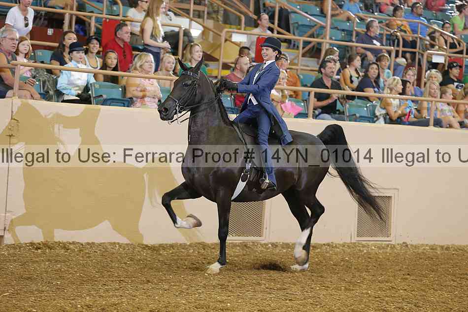 Proof 14yn_01014