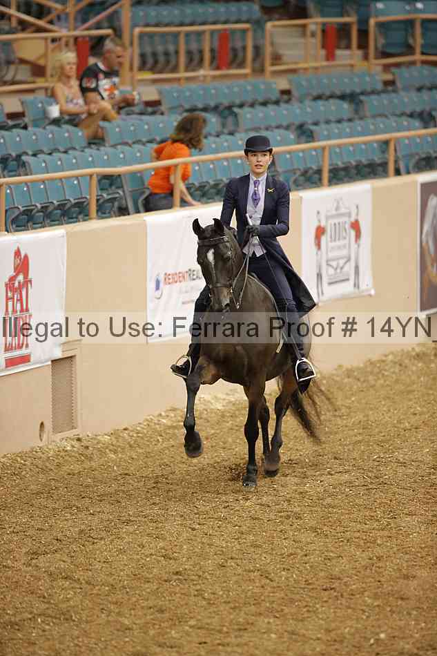 Proof 14yn_01015