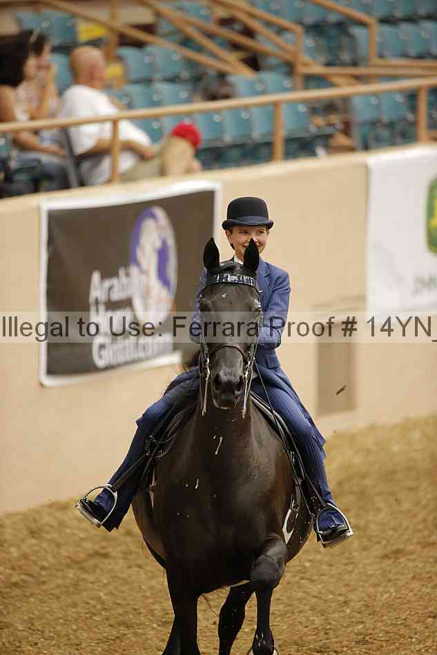 Proof 14yn_01026