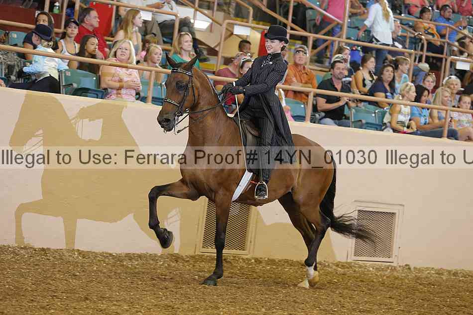 Proof 14yn_01030
