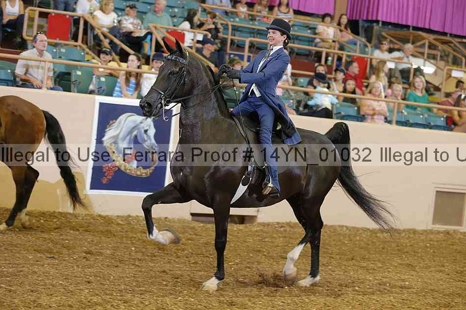 Proof 14yn_01032