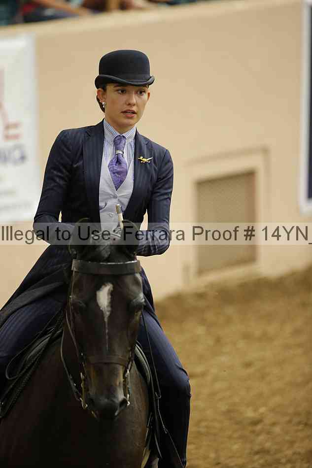 Proof 14yn_01033