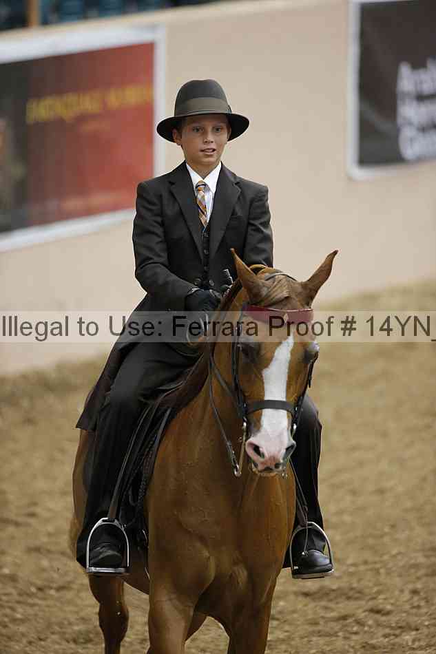 Proof 14yn_01034