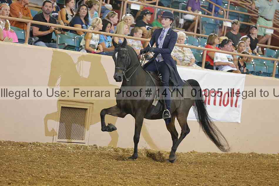Proof 14yn_01035