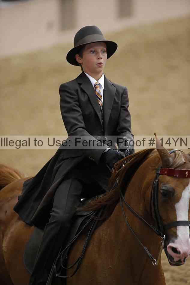 Proof 14yn_01036