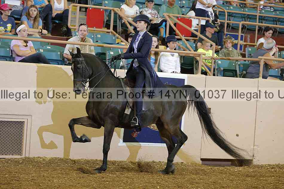 Proof 14yn_01037