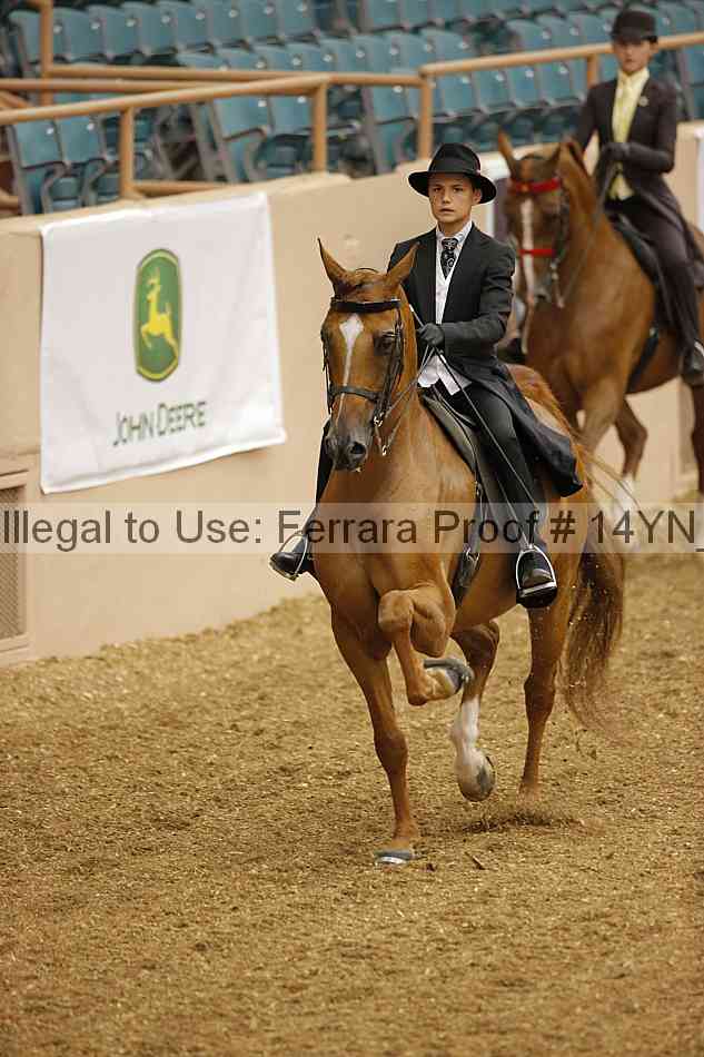 Proof 14yn_01038